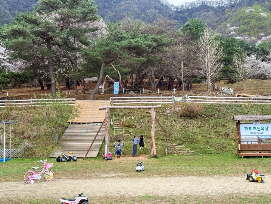 닭장 사진 6