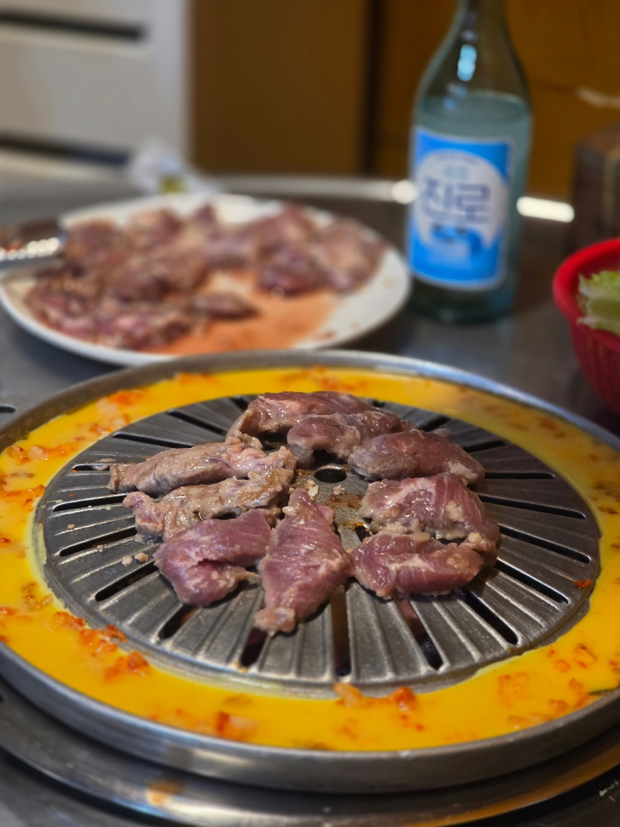 수유진미갈매기 사진 4