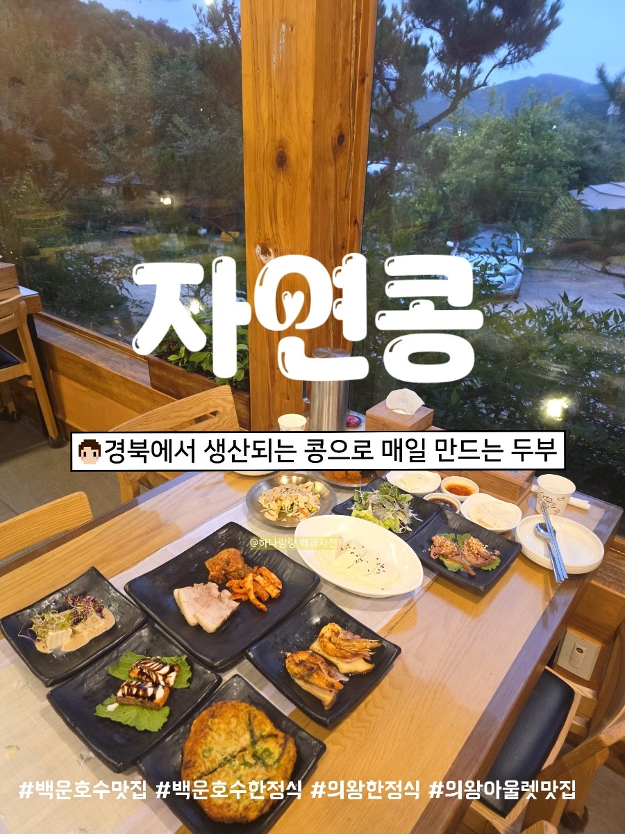 자연콩 사진 1