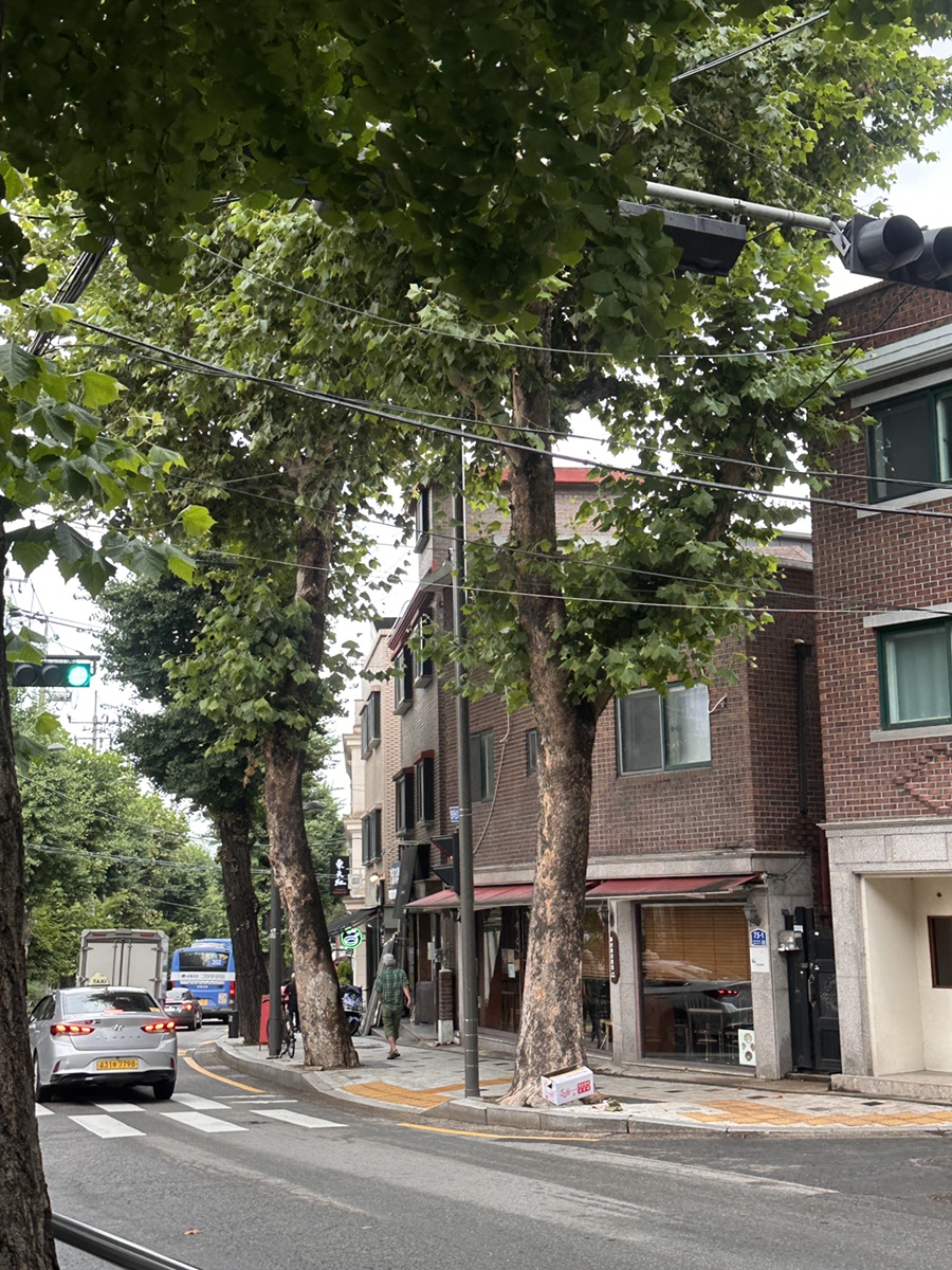 소신카츠 사진 1
