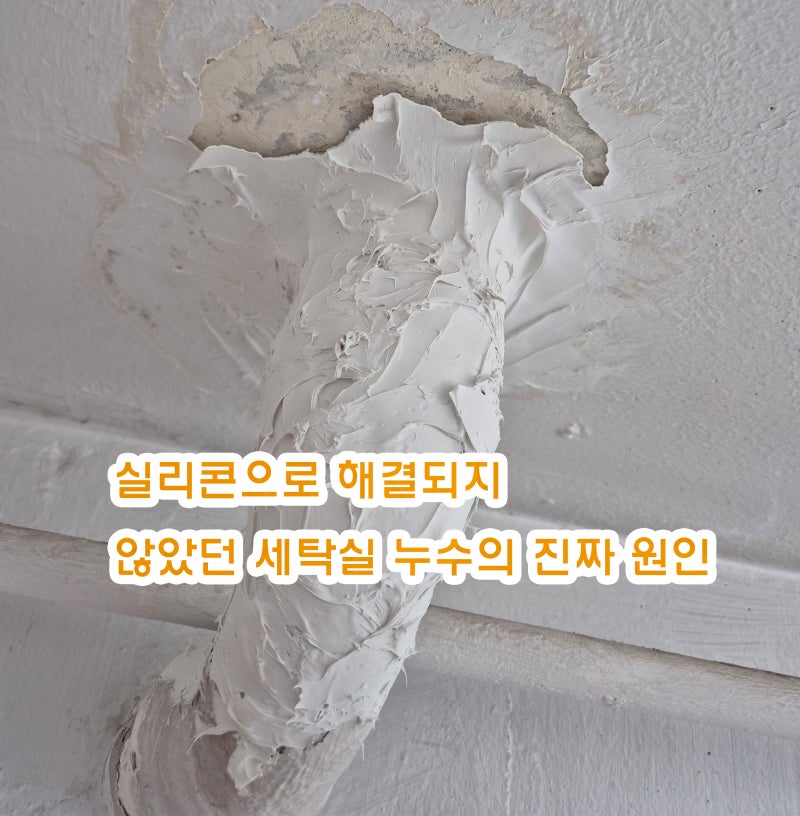 인천 미추홀구 유원아파트 세탁실 천장 누수 원인! 배수구 방수 불량과 배관 크랙 해결