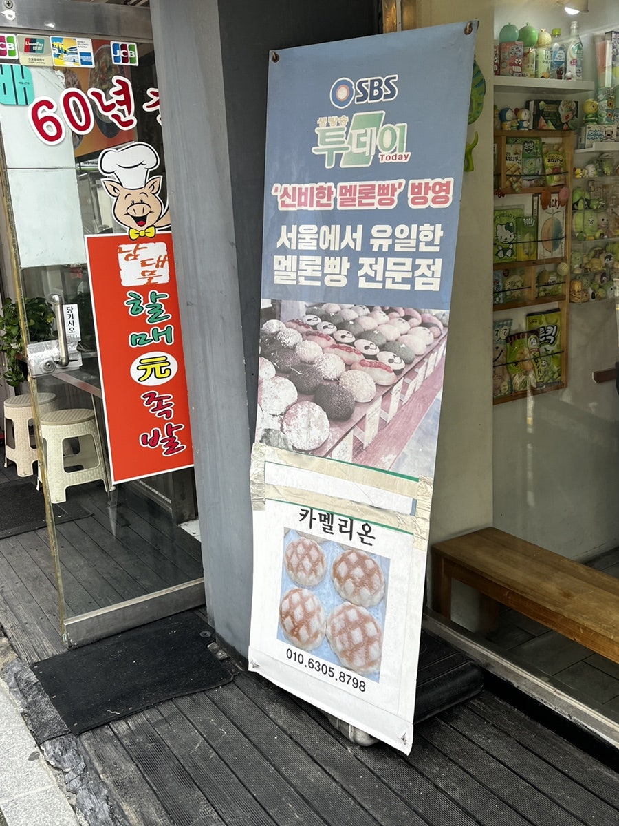 카멜리온 사진 3