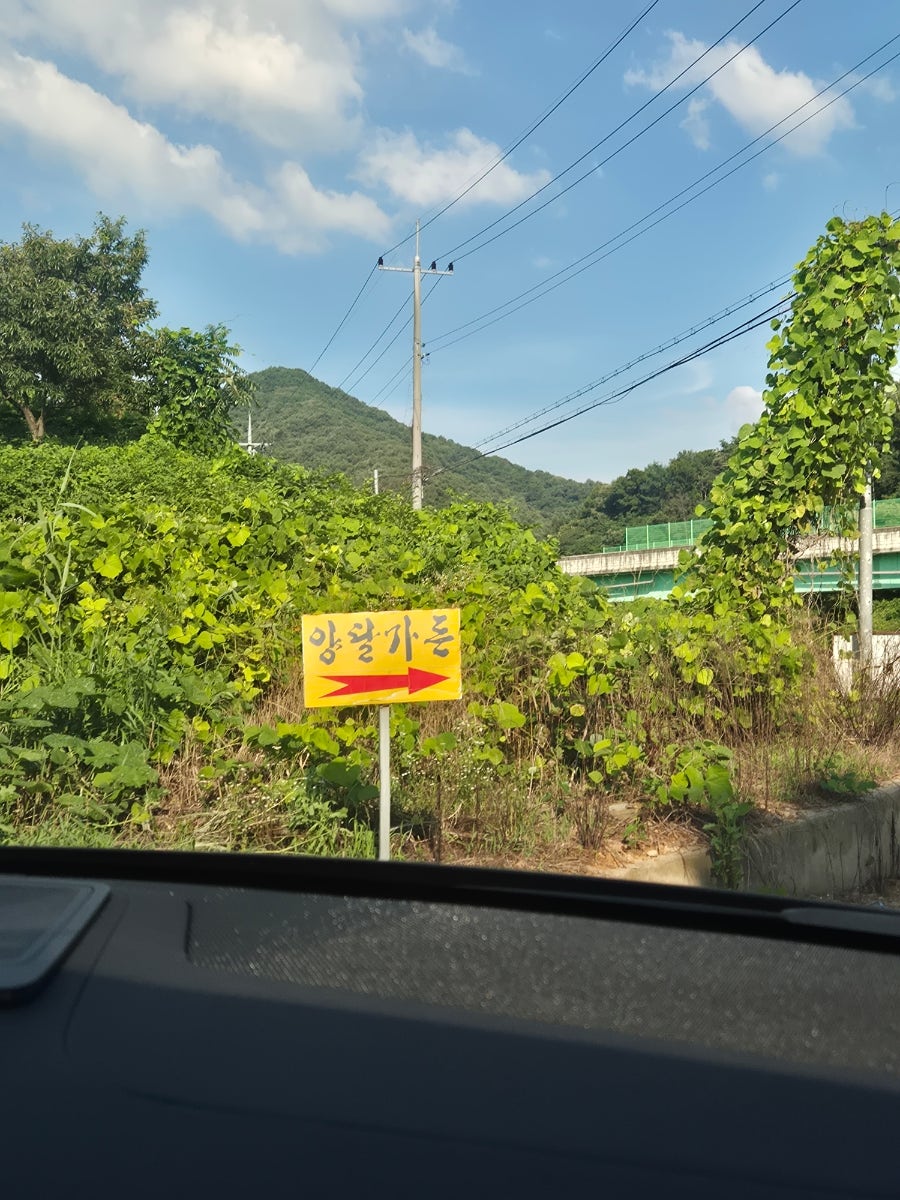 양달 사진 2