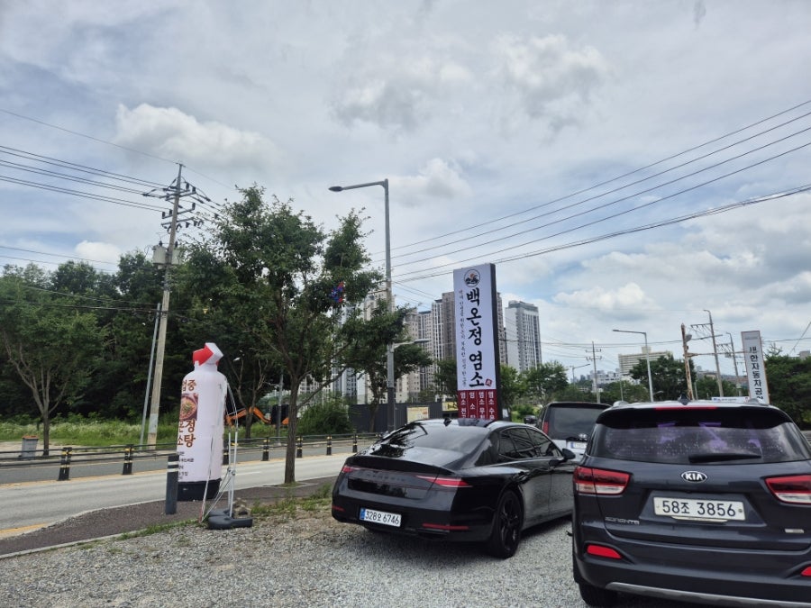 백온정염소 사진 5