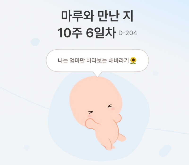 태아보험 가입 후기｜베베폼 통해 가입한 솔직 후기(내돈내산 / 월 4만원)