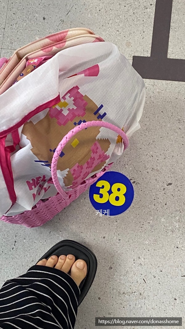 [부산/사직]7월 성수기 사직실내수영장 새벽 자유수영 일일입장 성공: 화수목금 비교, 이용꿀....