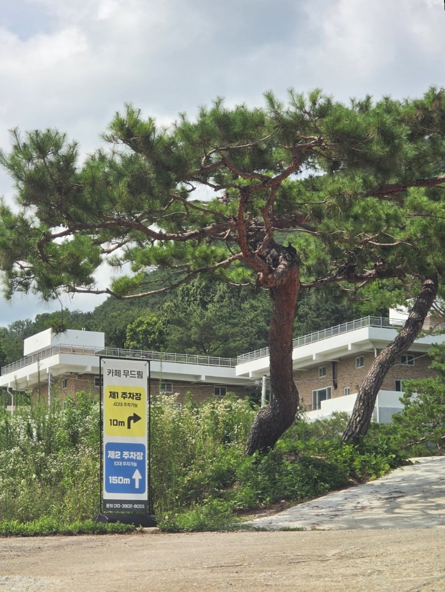 무드림 베이커리카페 금산 사진 4