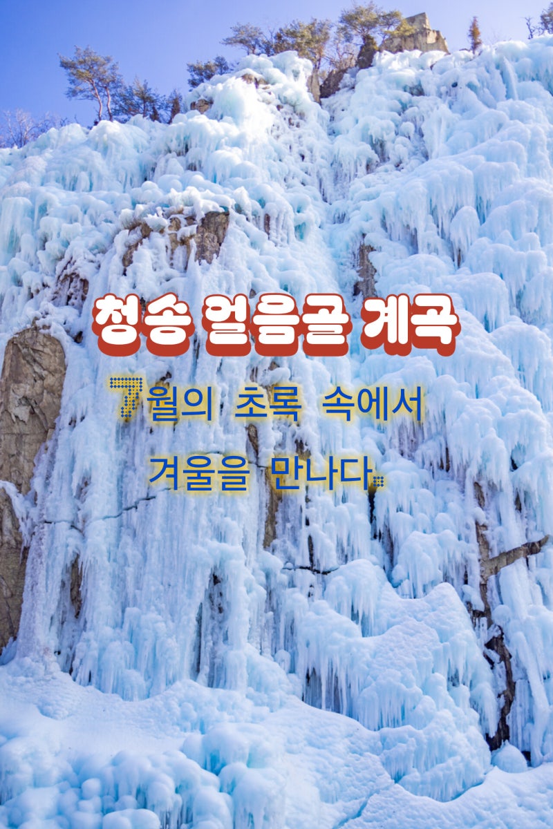 1박2일 경북 청송여행 ⑥ 청송 얼음골 계곡| 7월의 초록 속에서 겨울을 만나다. 탕건봉 청송얼....