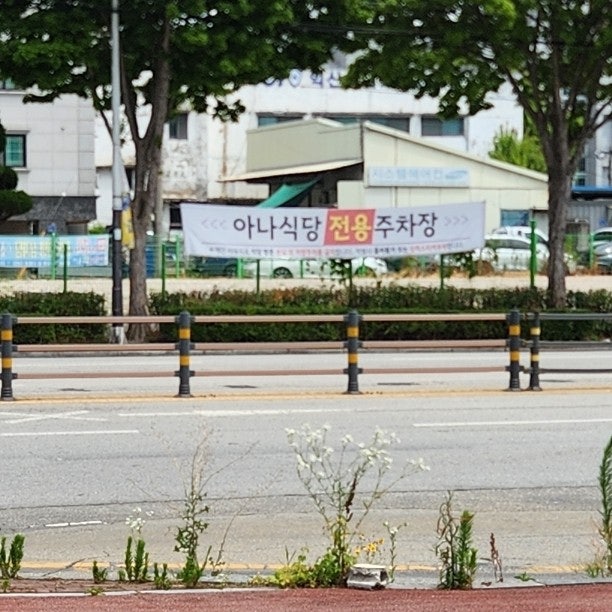 아나식당 사진 3