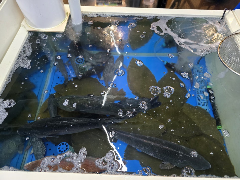 오광수산 사진 4