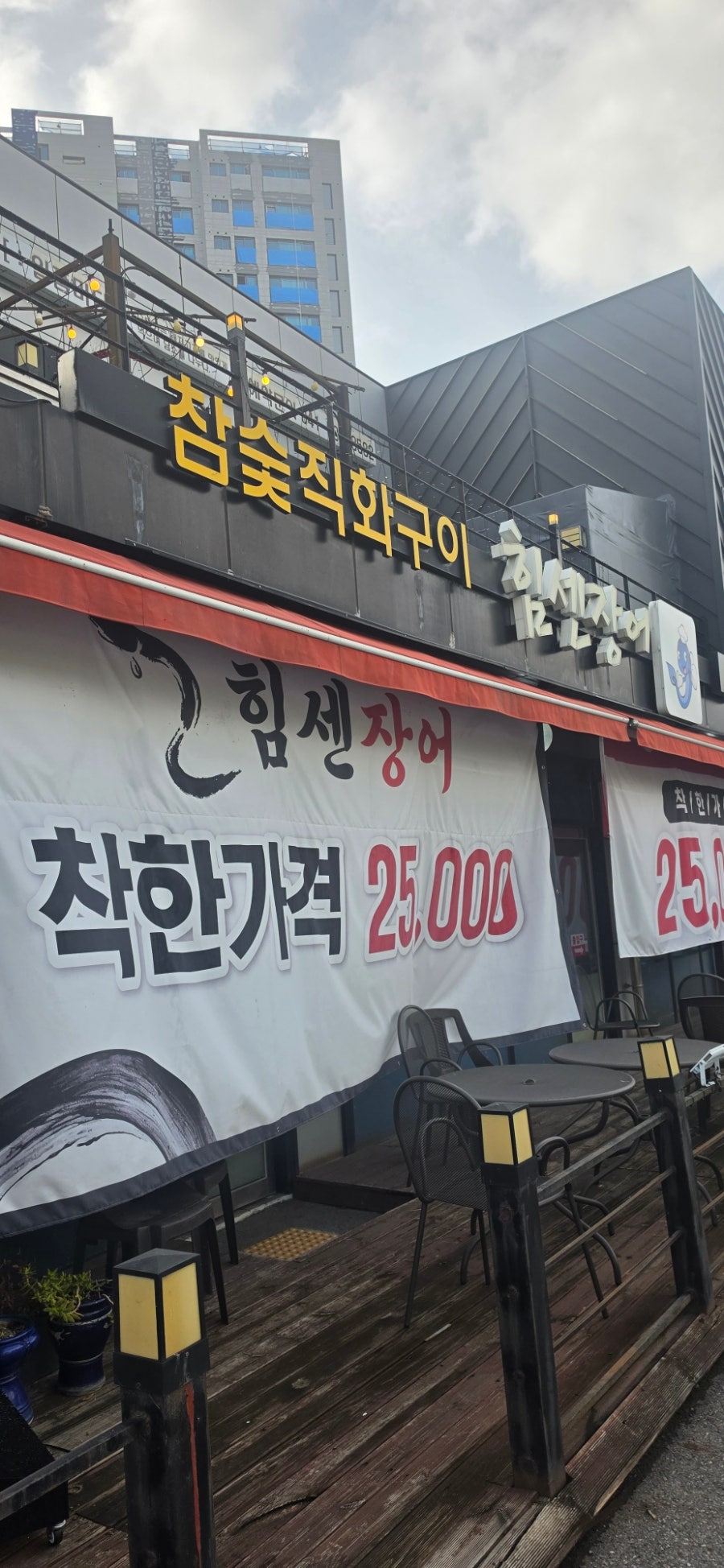 힘센장어 사진 1