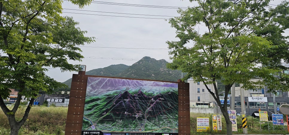 별난버섯집 사진 6