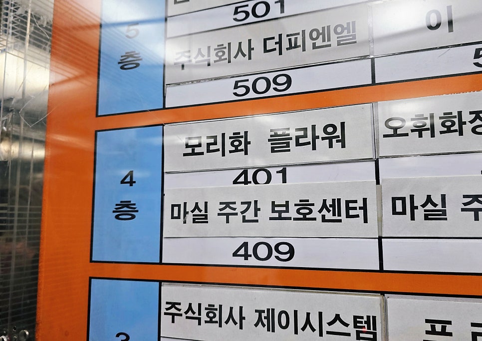 모리화 사진 2