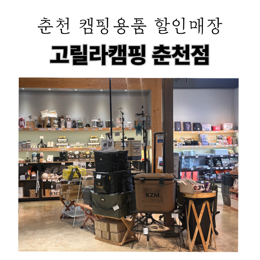 고릴라 사진 1