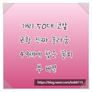 개리 50대 코앞 근황 진짜 놀라움 49세에 찾은 꿀피부 비결