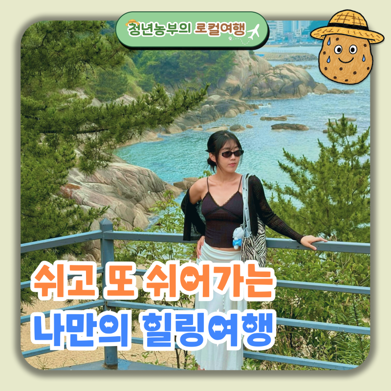 한국의 그리스? 에메랄드빛 바다가 반기는 강원도 사찰 양양 휴휴암 물고기 방생