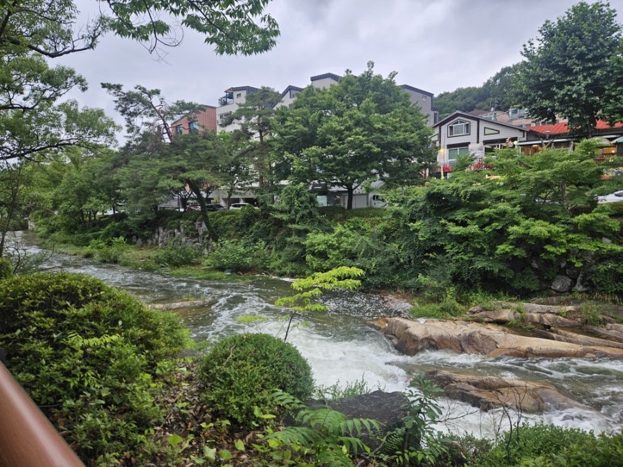 뽕잎사랑 안양예술공원점 사진 4