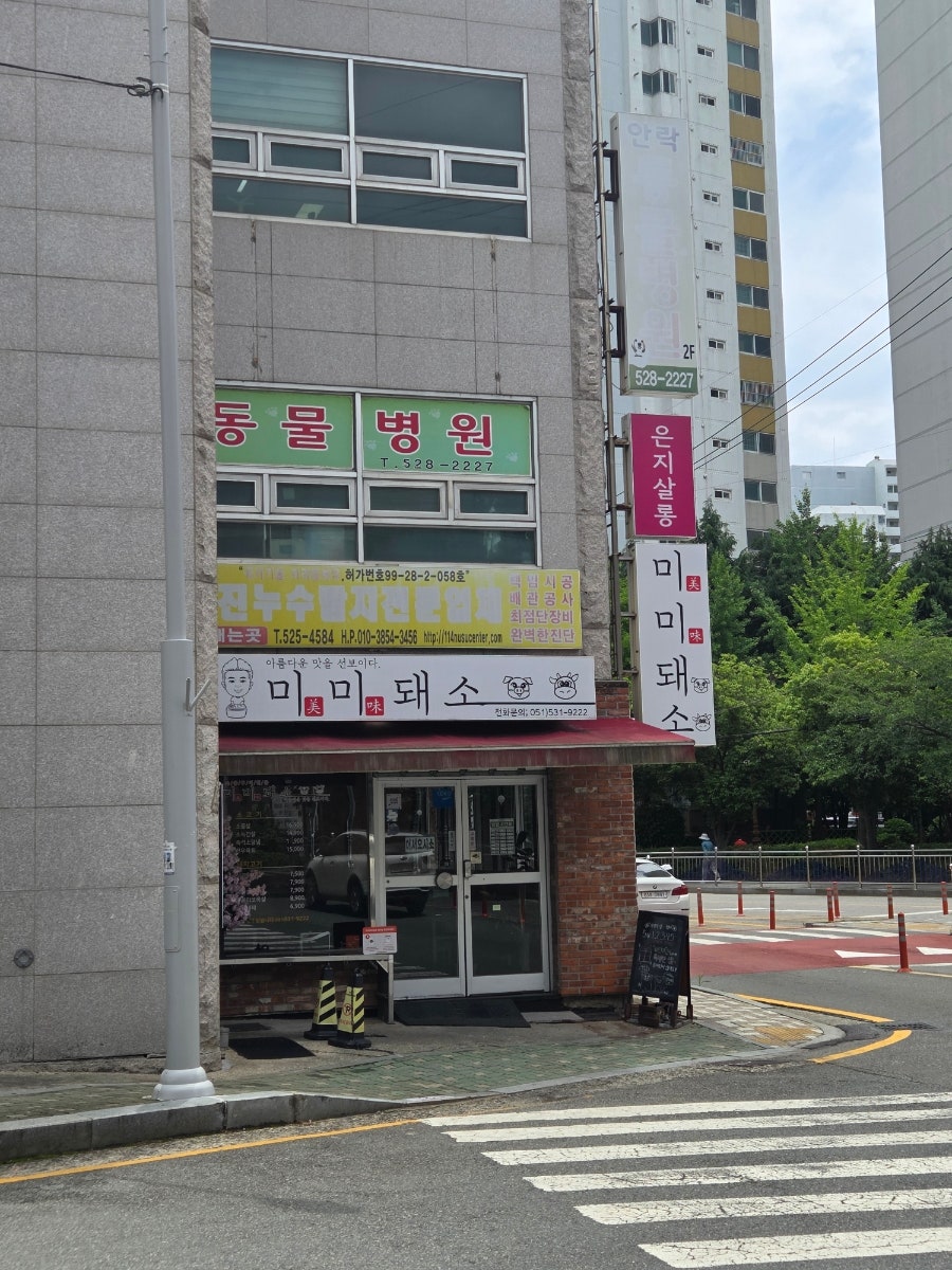미미돼소 사진