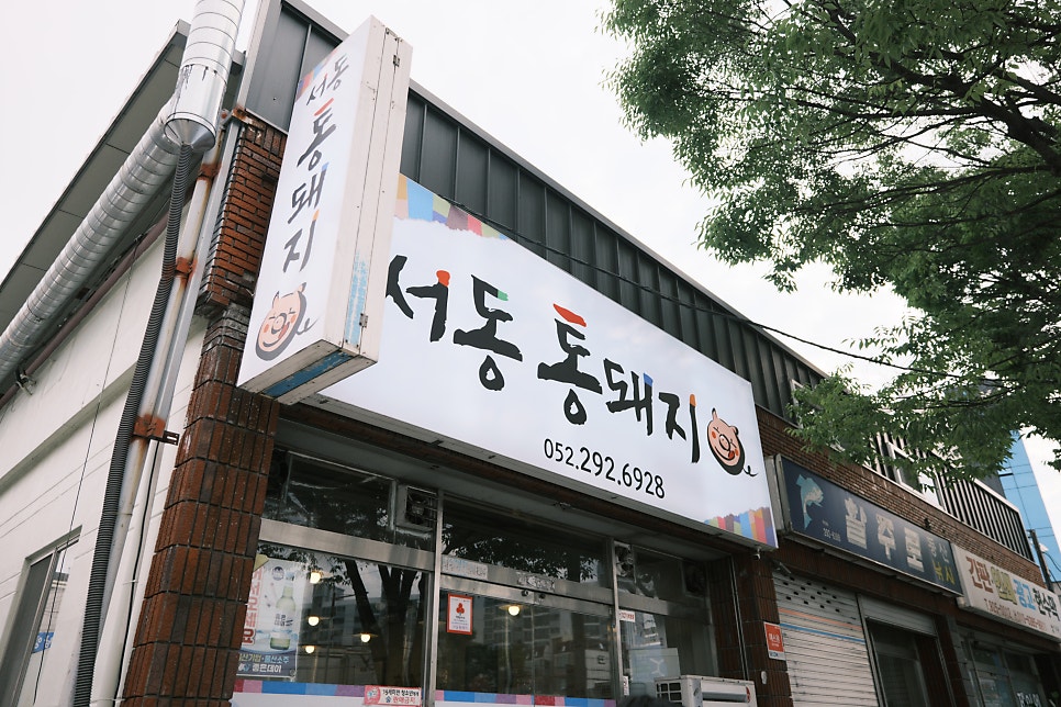서동통돼지 사진 1