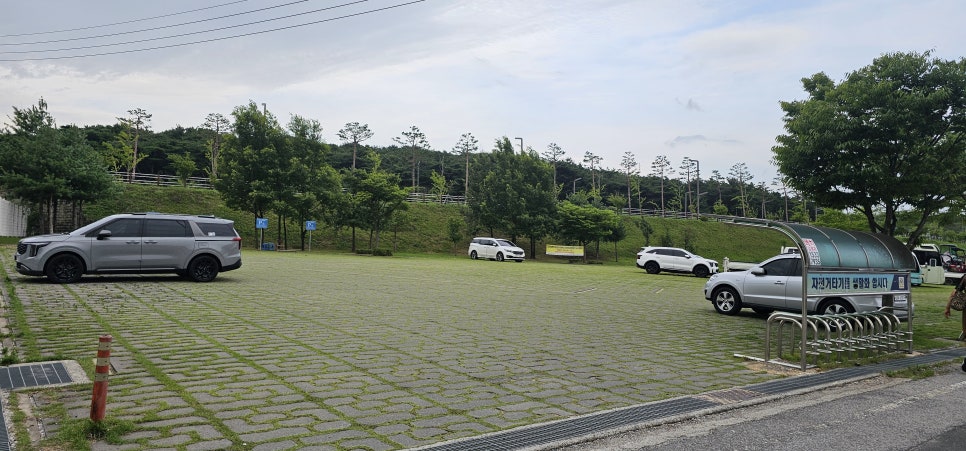 별난버섯집 사진 5