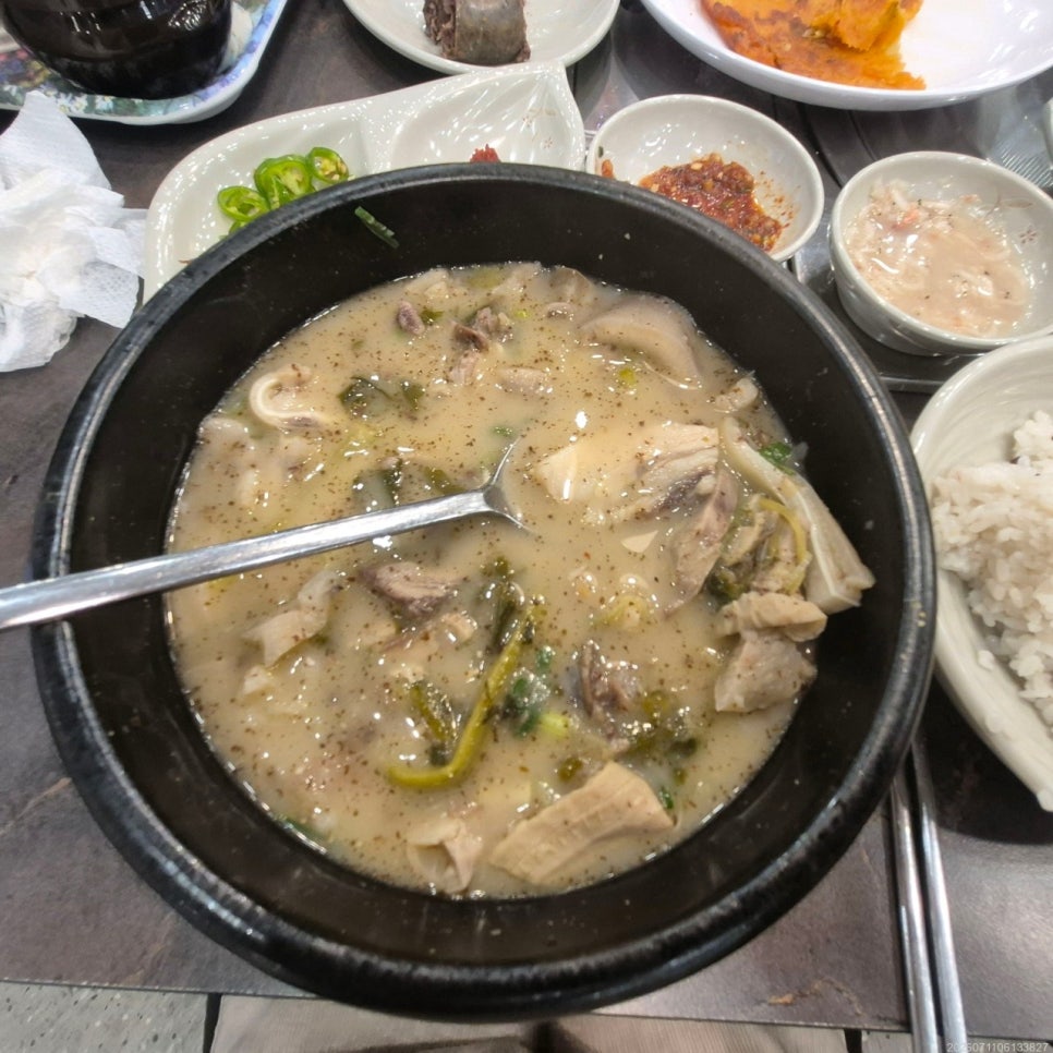 또바기 사진 4