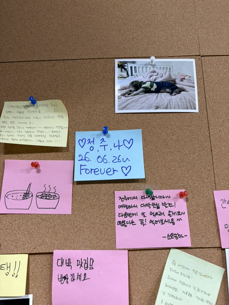 파씨오네 사진 3