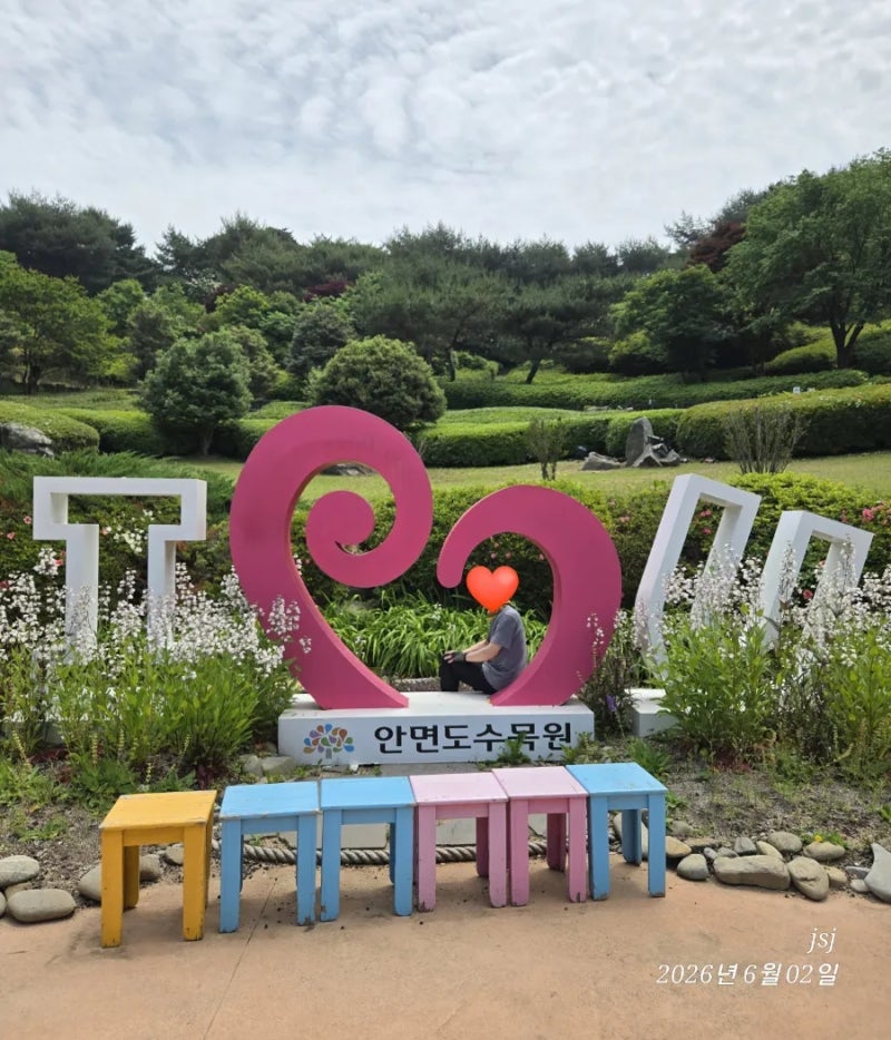 忠南泰安之旅：大海氣息與松樹香氣交織的千年森林，歷史與療癒共存的安眠島