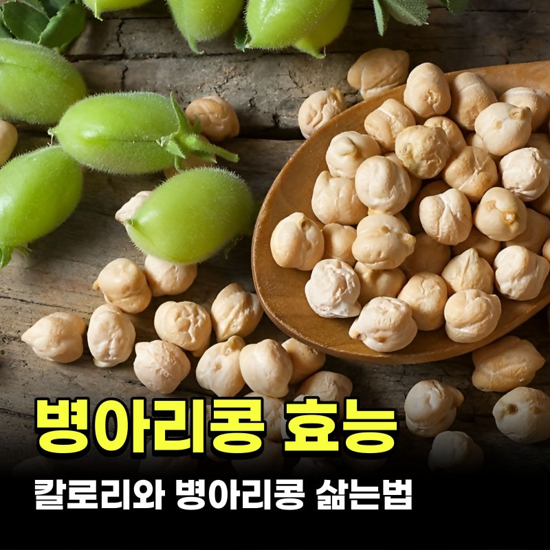 병아리콩 효능 칼로리 정보와 병아리콩 삶는법