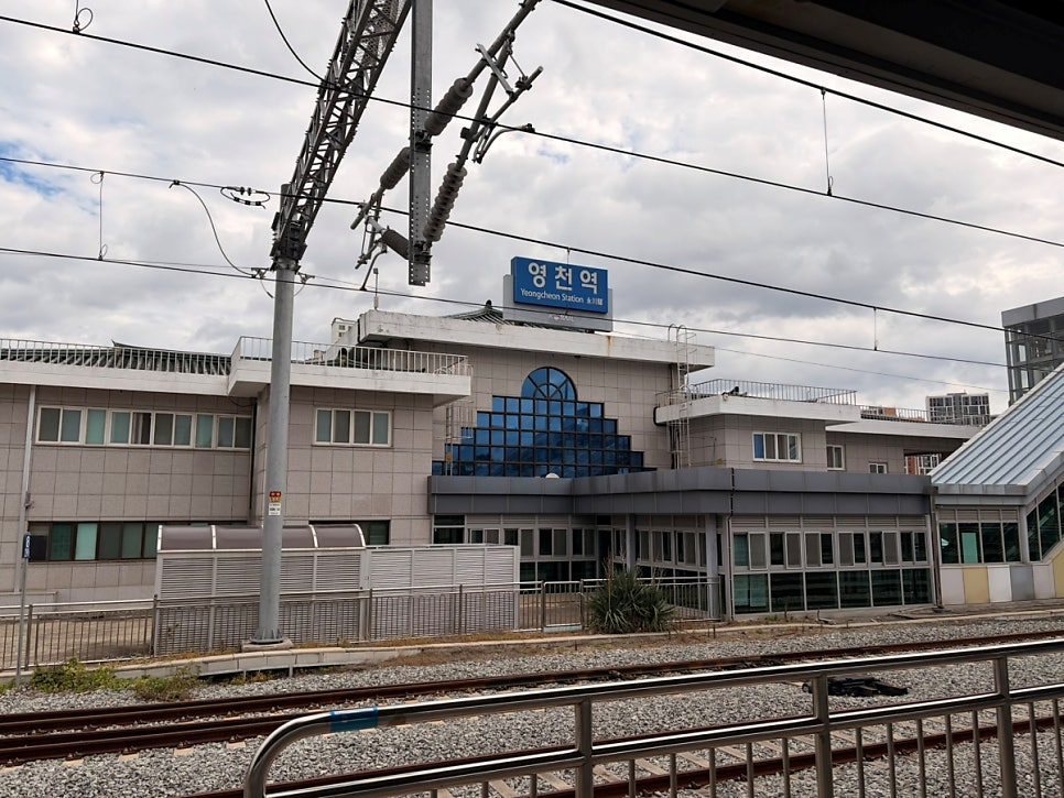 청춘짜장 사진 1