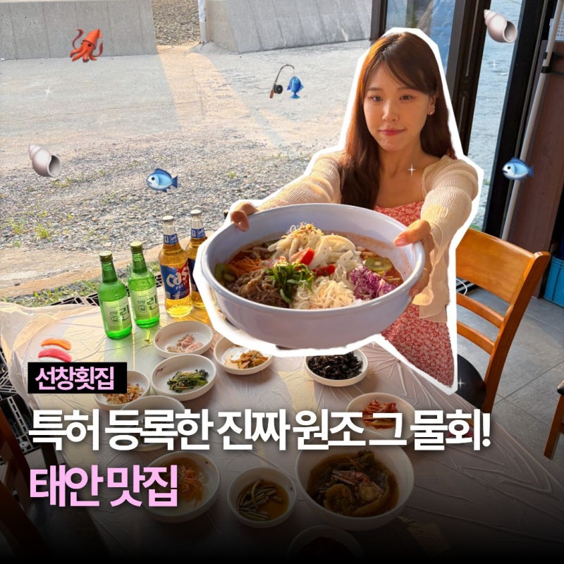 충남 태안 해양치유센터맛집 마검포해수욕장 물회 원조 회덮밥 선창횟집