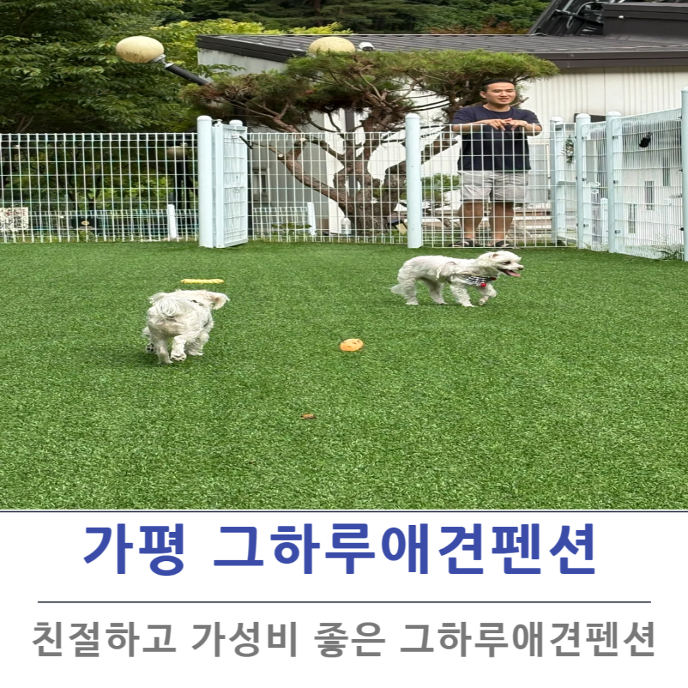 Gapyeong Daengdaengiaegyeonpensyeon Silbeo photo 1