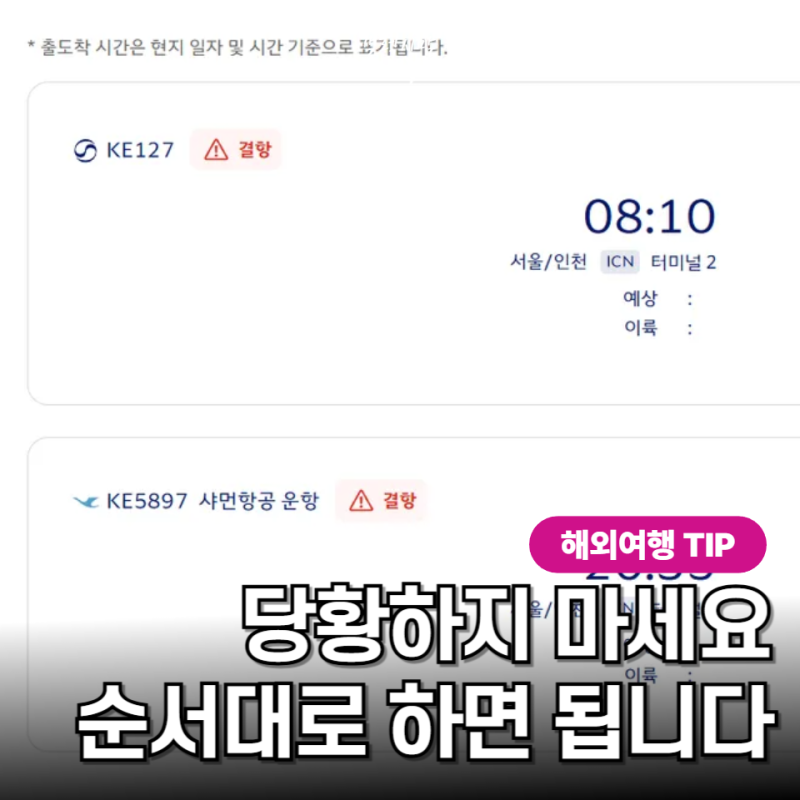 태풍 때문에 비행기 지연, 결항됐다면? 가장 먼저 해야 할 대처 방법 5가지