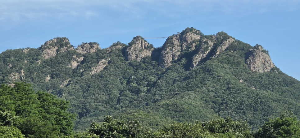 구봉산식당 사진 1