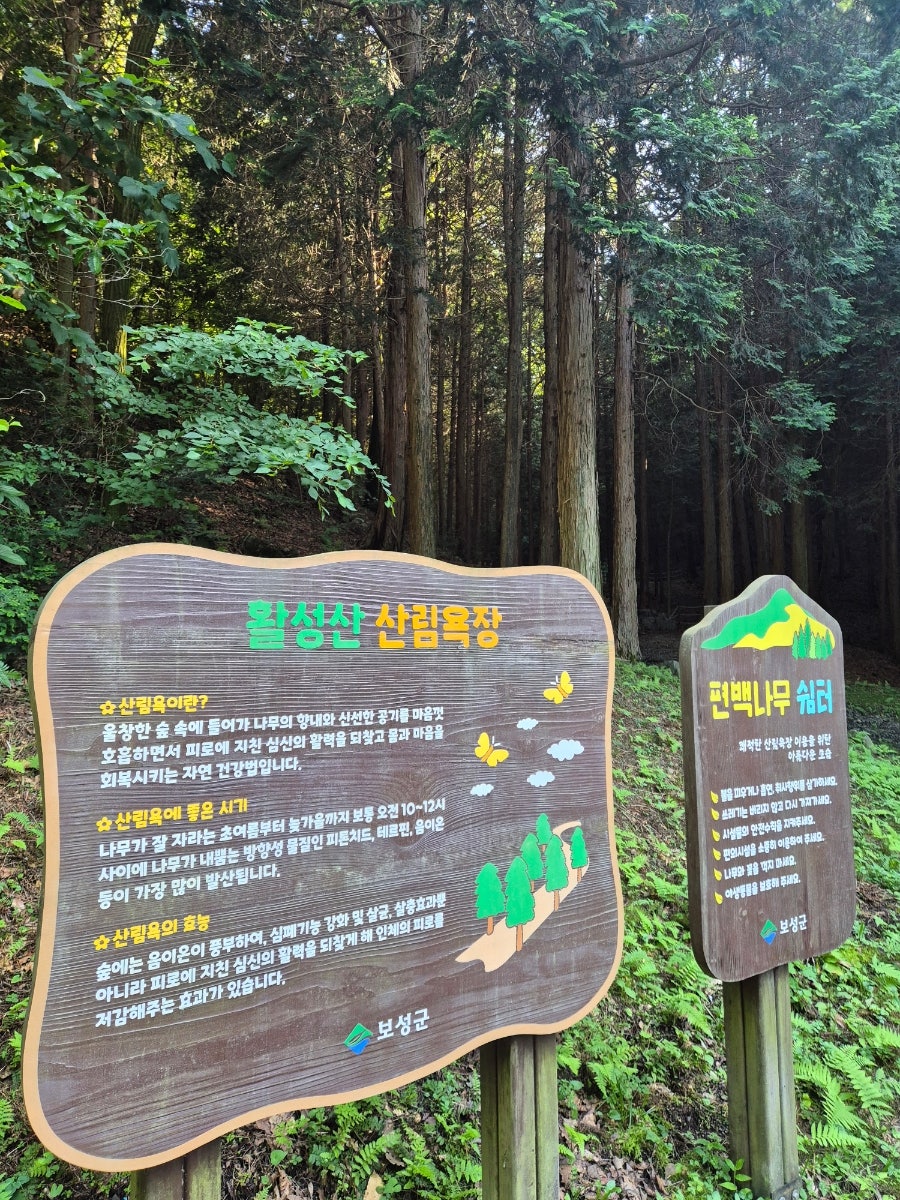 활성산 사진 1