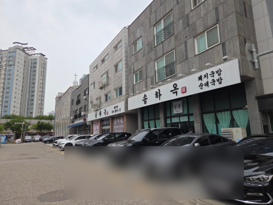 송하옥 사진 1