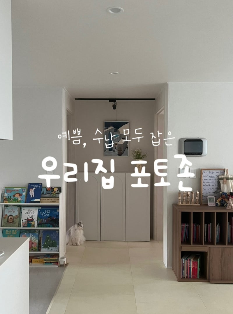 좁은 집이면 꼭 사세요! 자투리 공간 살리는 오늘의집 감성 아치형 슬림 수납장 꿀템