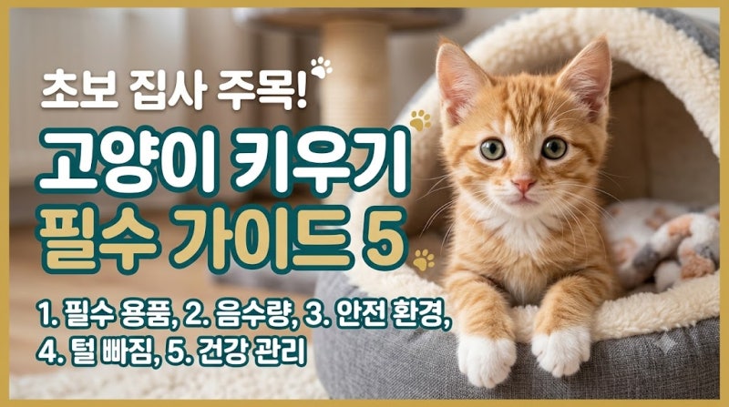 초보 집사 팁! 고양이 키우기 전 꼭 알아야 할 필수 가이드 5가지(새끼고양이 키우기 준비물 ....