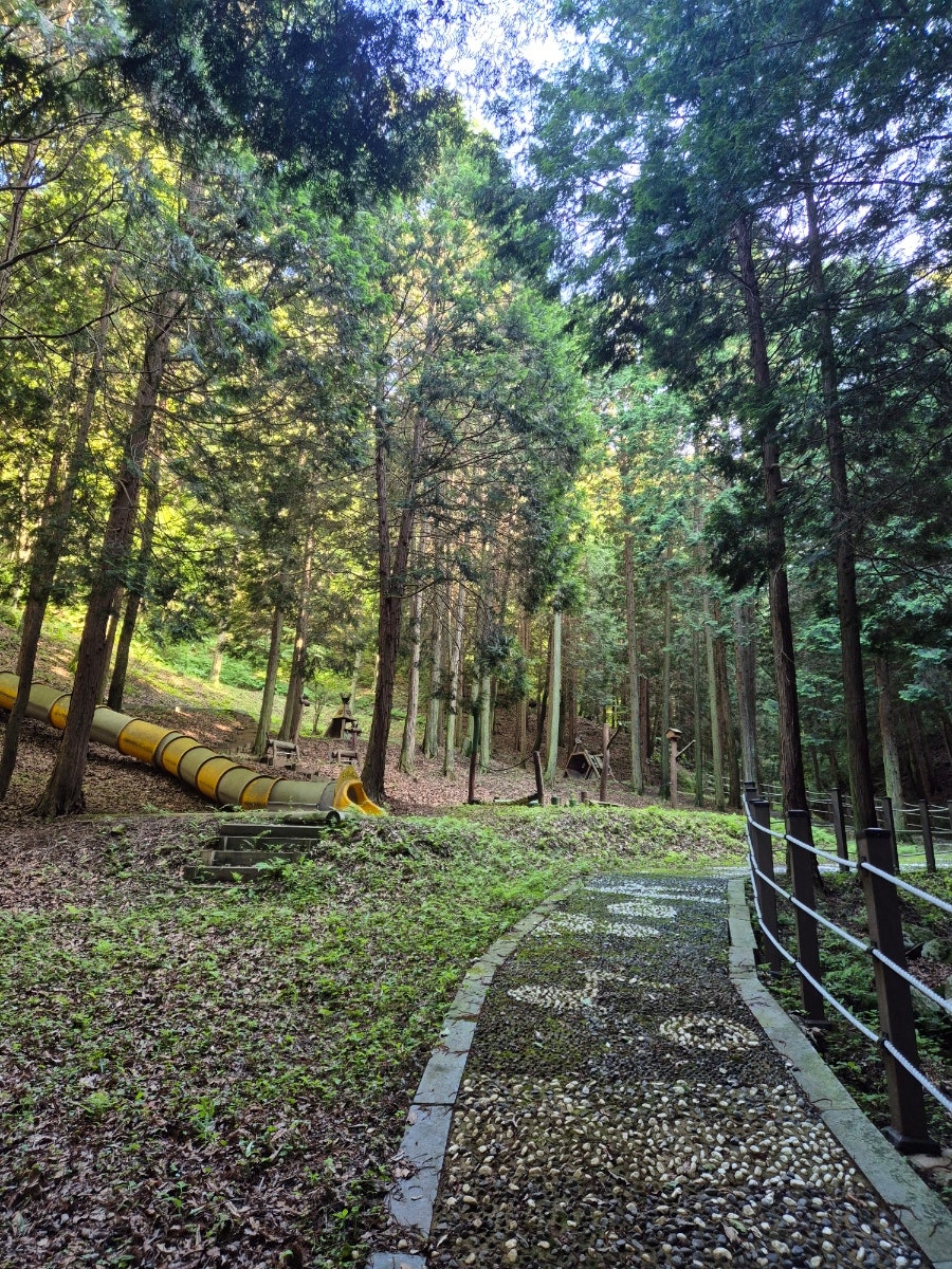 활성산 사진 3