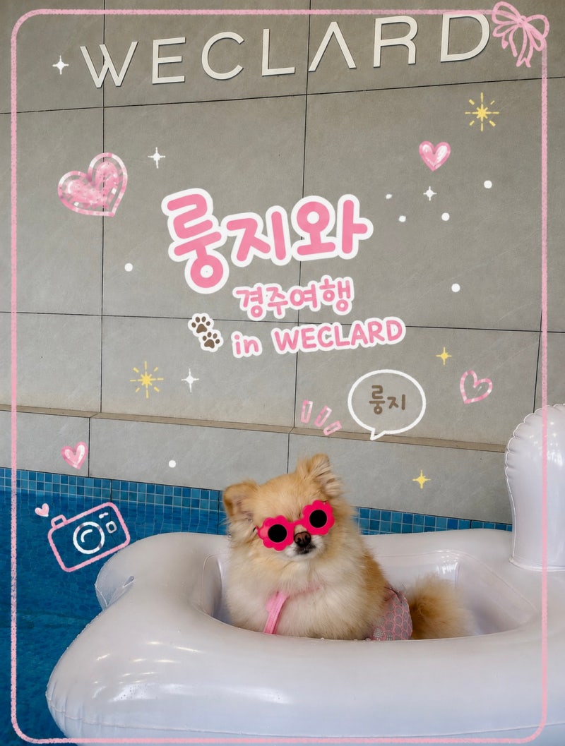 경주 애견 동반 독채 숙소 [경주 위클라드 애견 풀빌라]