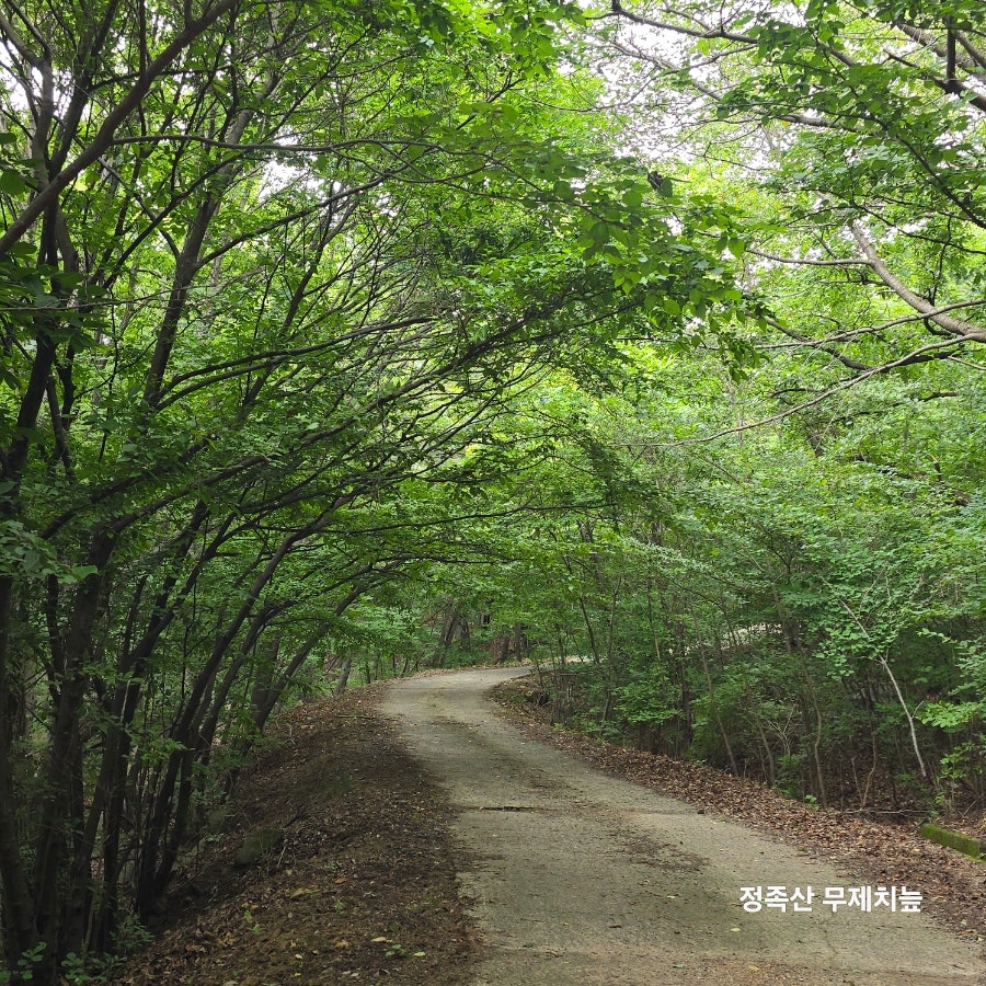 무제치 사진 2