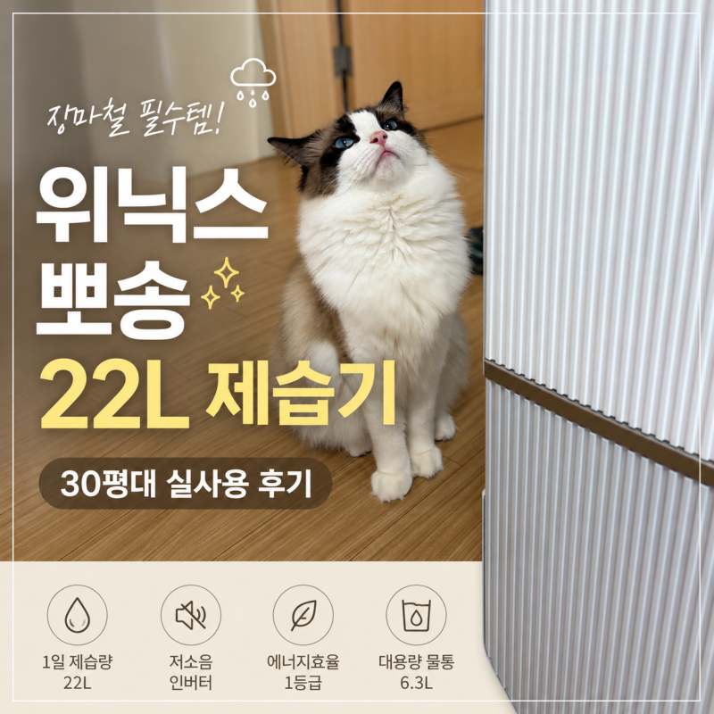장마철 제습기 추천｜위닉스 뽀송 인버터 제습기 22L 실사용 후기