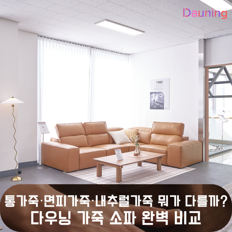 통가죽·면피가죽·내추럴가죽 뭐가 다를까? 다우닝 가죽 소파 완벽 비교