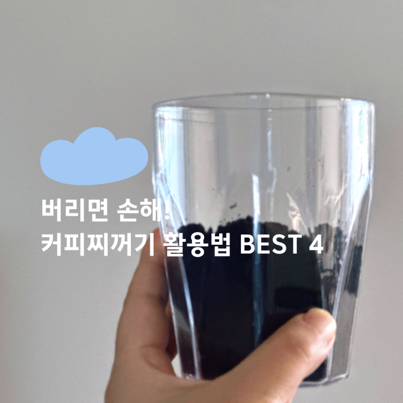 커피찌꺼기 활용법 버리면 손해인 제로웨이스트 살림법 BEST 4