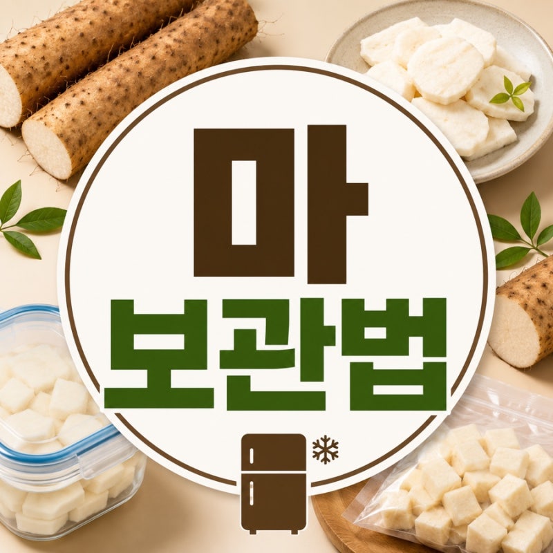 마 보관법 총정리! 냉장·냉동 보관부터 갈변 막는 방법까지