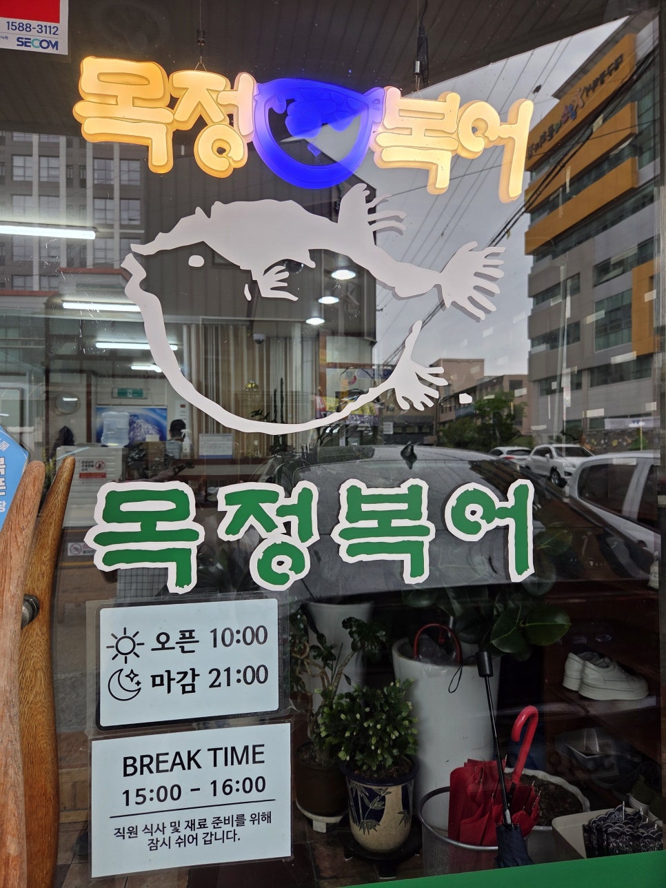 목정복어 사진 2