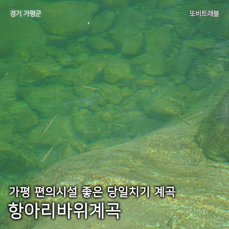 소프 사진 1