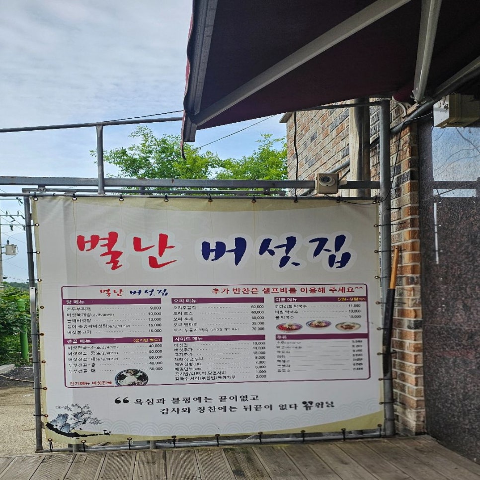 별난버섯집 사진 3