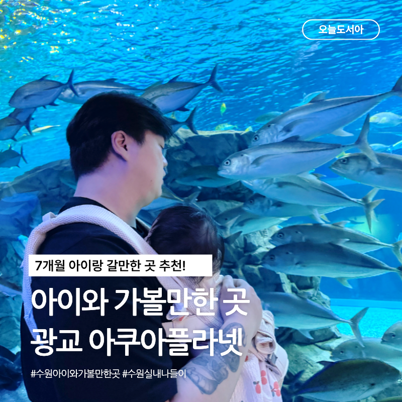 7개월 아이와 가볼만한 곳 수원 광교 아쿠아플라넷 실내놀거리 할인 꿀팁