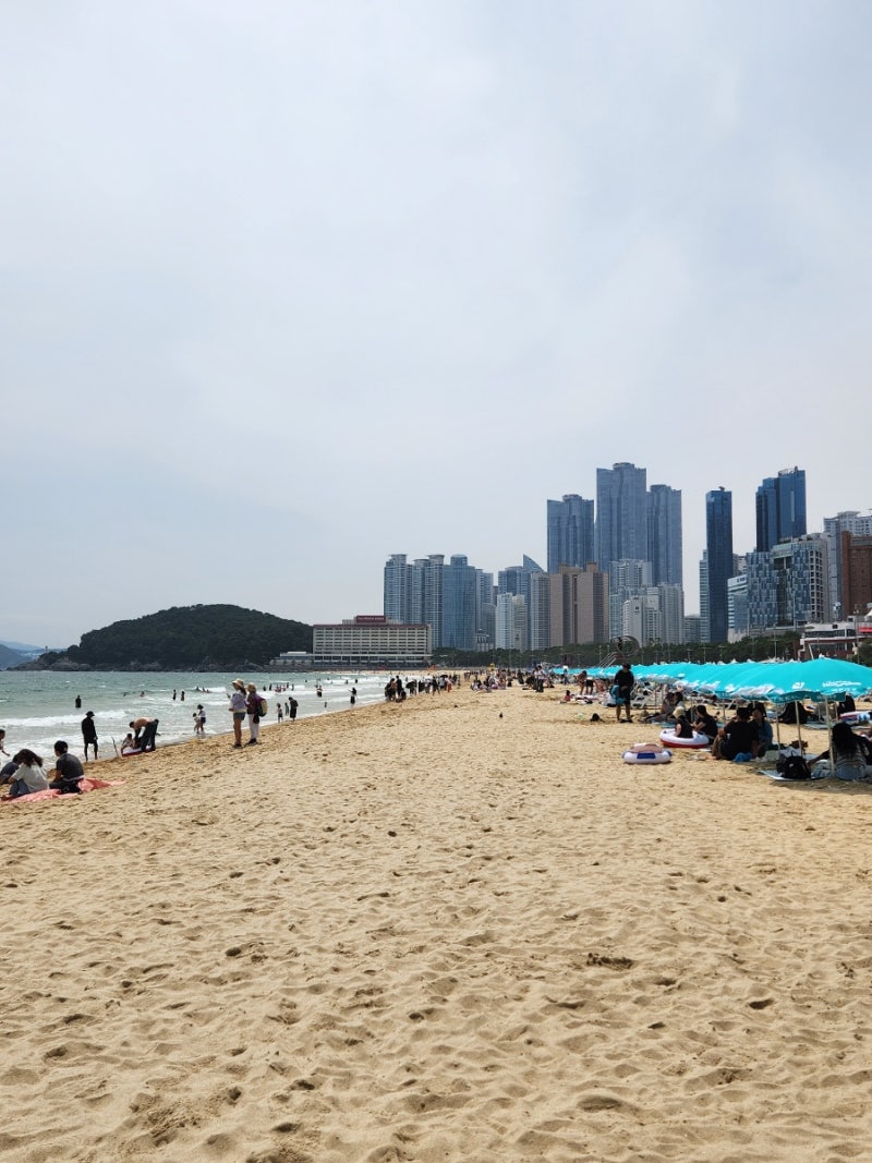 해운대 해수욕장 개장 이것만 알면 물놀이 끝! 탈의실 샤워실 파라솔 대여 바닥분수까지 총....