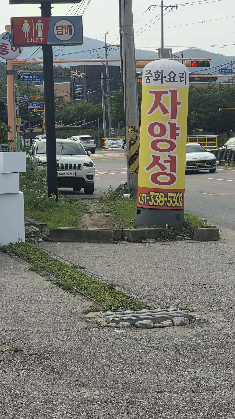 자양성 사진 3